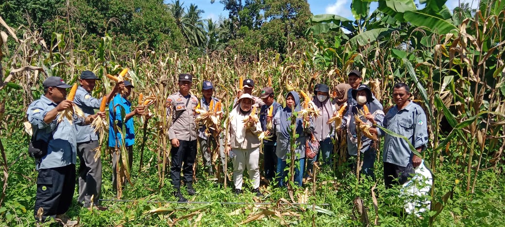 Pembinaan Ketahanan Pangan